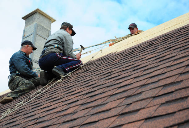 Best Roof Gutter Cleaning  in Stanley, NC