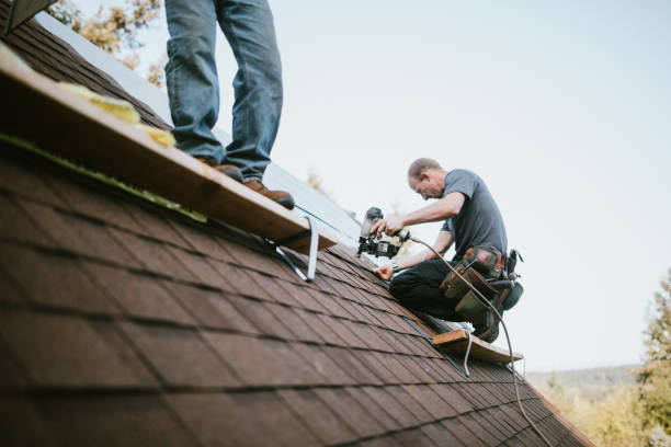 Best Roof Gutter Cleaning  in Stanley, NC