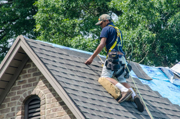 Best Roof Gutter Cleaning  in Stanley, NC